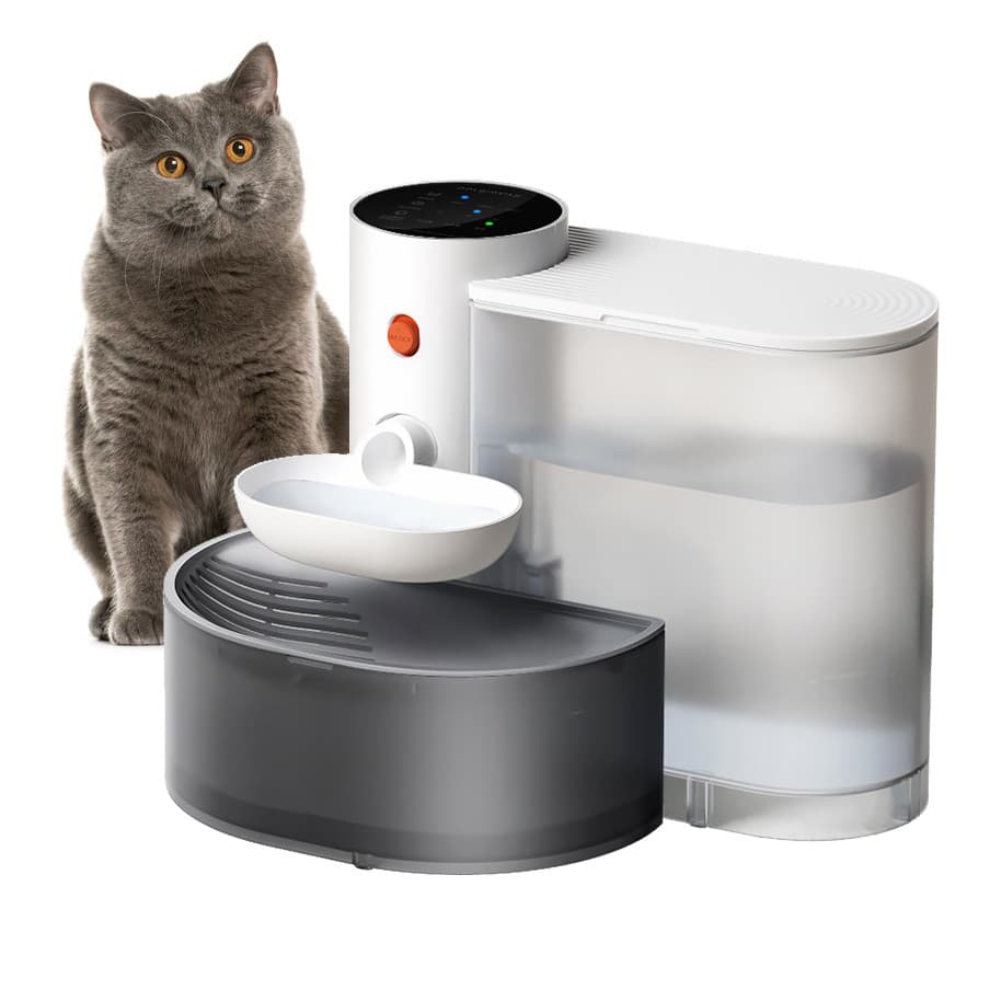 Newpet Fonte Para Gatos Automática Bebedouro Purificador de Água Separação automática de esgoto circulante Bivolt