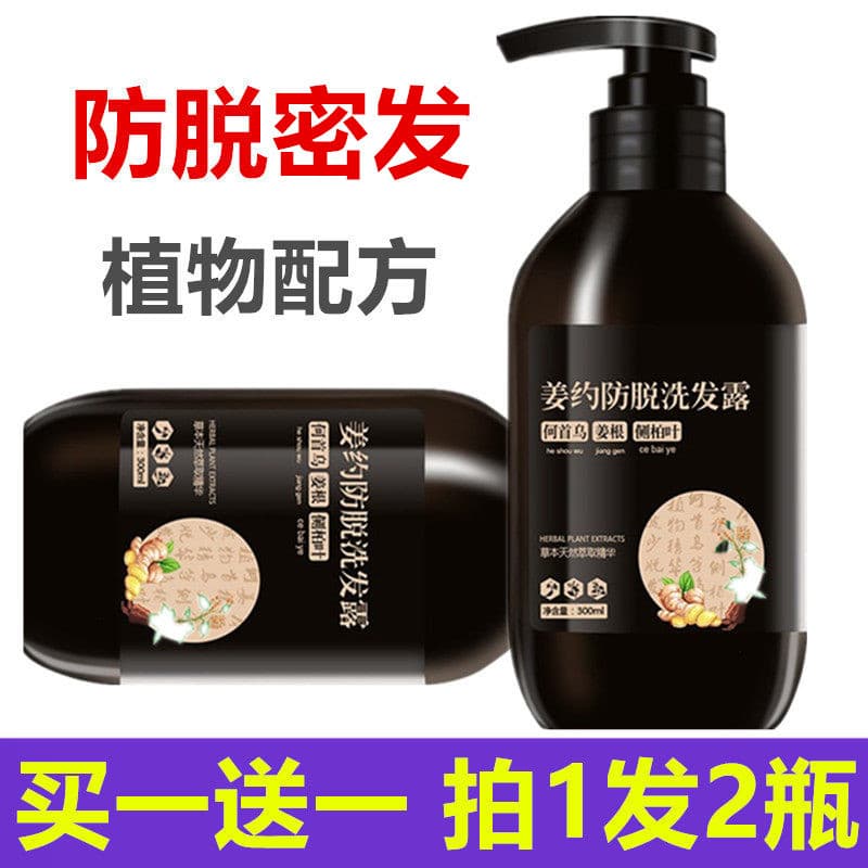 Planta Polygonum Multiflorum gengibre anti-densiz perda de cabelo Shampoo fixação de cabelo cuidados com o cabelo aument