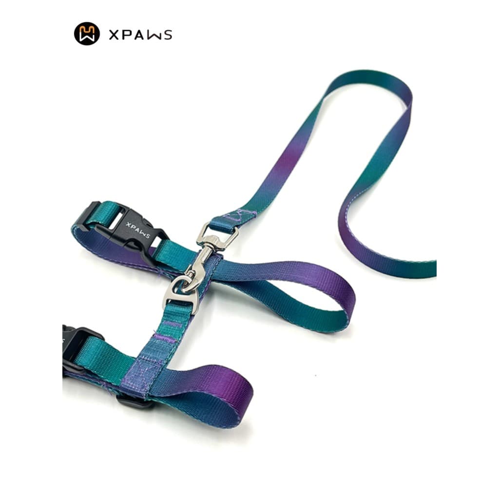 XPAWS gato corda de tração Anti-quebra passeio dedicado gato em forma de H peito volta conjunto andando corda de gato in