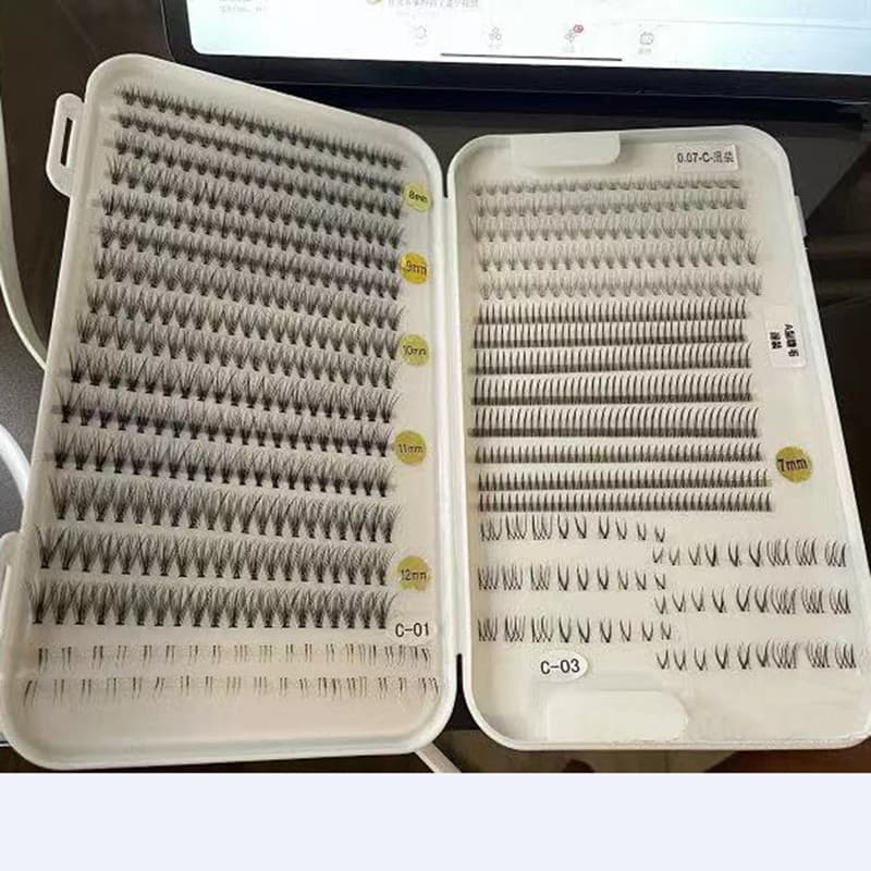 Caixa de armazenamento de cílios grandes Xiaohongshu mesmo estilo ferramenta útil Anti-poeira portátil conveniente caixa