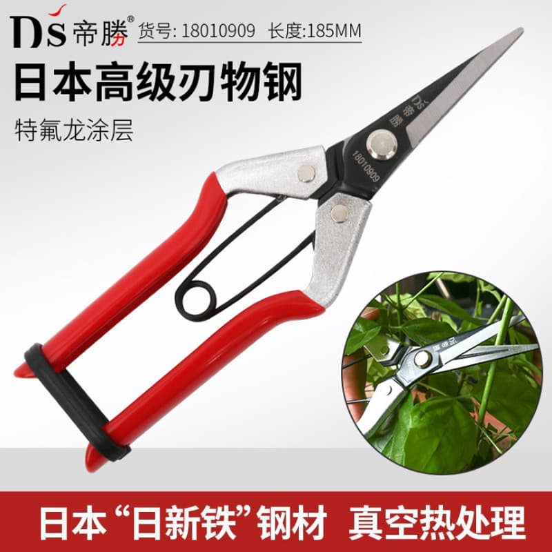 Sagawa Tesoura para colheita de frutas Cabeça reta Cabeça de elevação Tesoura de poda de lâmina longa Tesoura para colhe