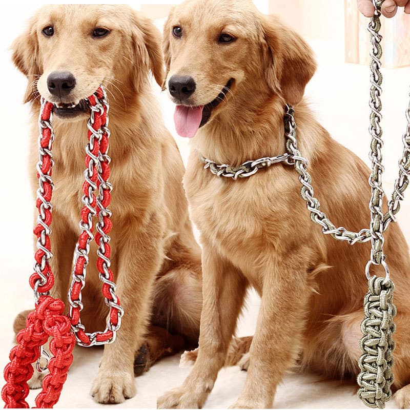 Coleira de ferro para cães, corrente média e grande, Golden Retriever, Labrador, corrente de ferro anti-mordida, coleira