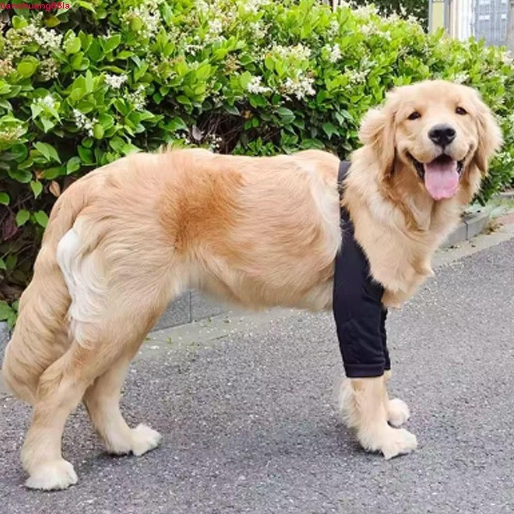 Protetor De Cotovelo Para Cachorro TIANCHUANG , Mangas Com Padrão De Desenho Animado , Joelheiras De Algodão Animais De