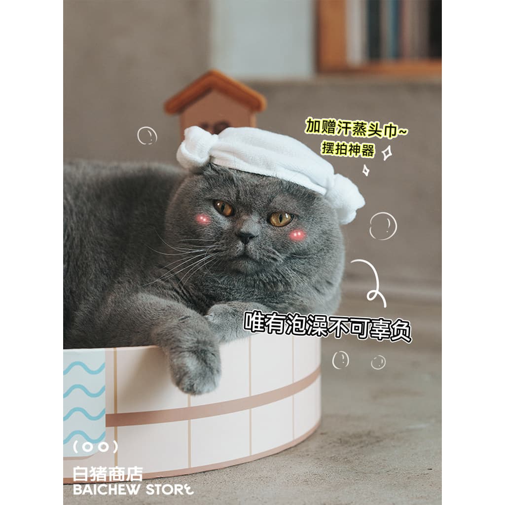 Loja de porco branco purlab purlab primavera quente sopa gato Scratch Board maca de gato integrado suprimentos de gato b