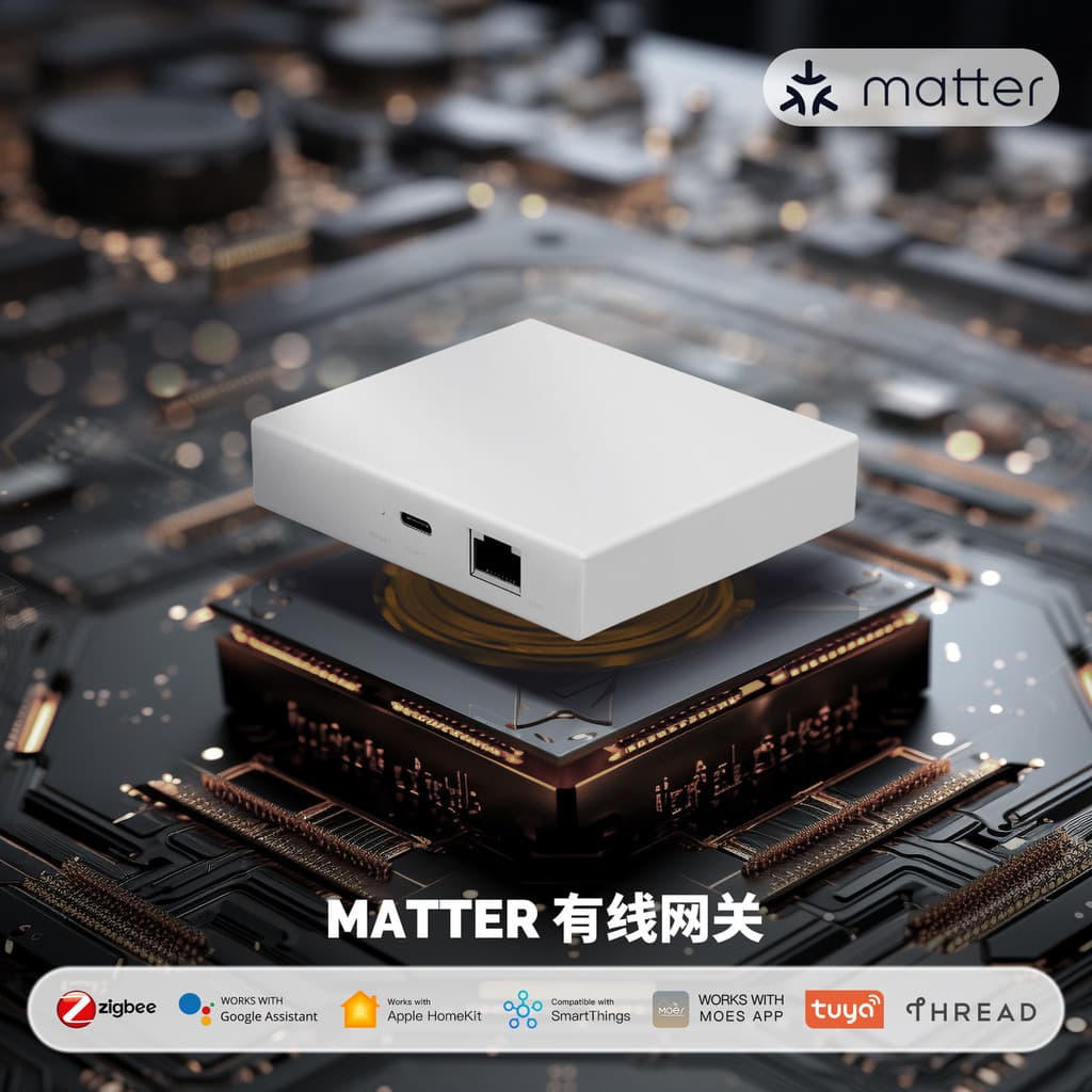 Mattel Acordo Smart Home zigbee Gateway TLS Aplicativo criptografado bidirecional remoto Graffiti Smart Tuya