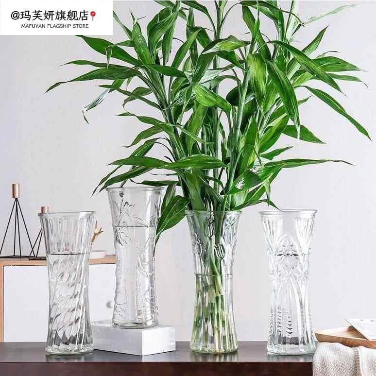 Vaso de vidro transparente para elevação de água, vaso de lírio de bambu para decoração de sala de estar, arranjo de flo