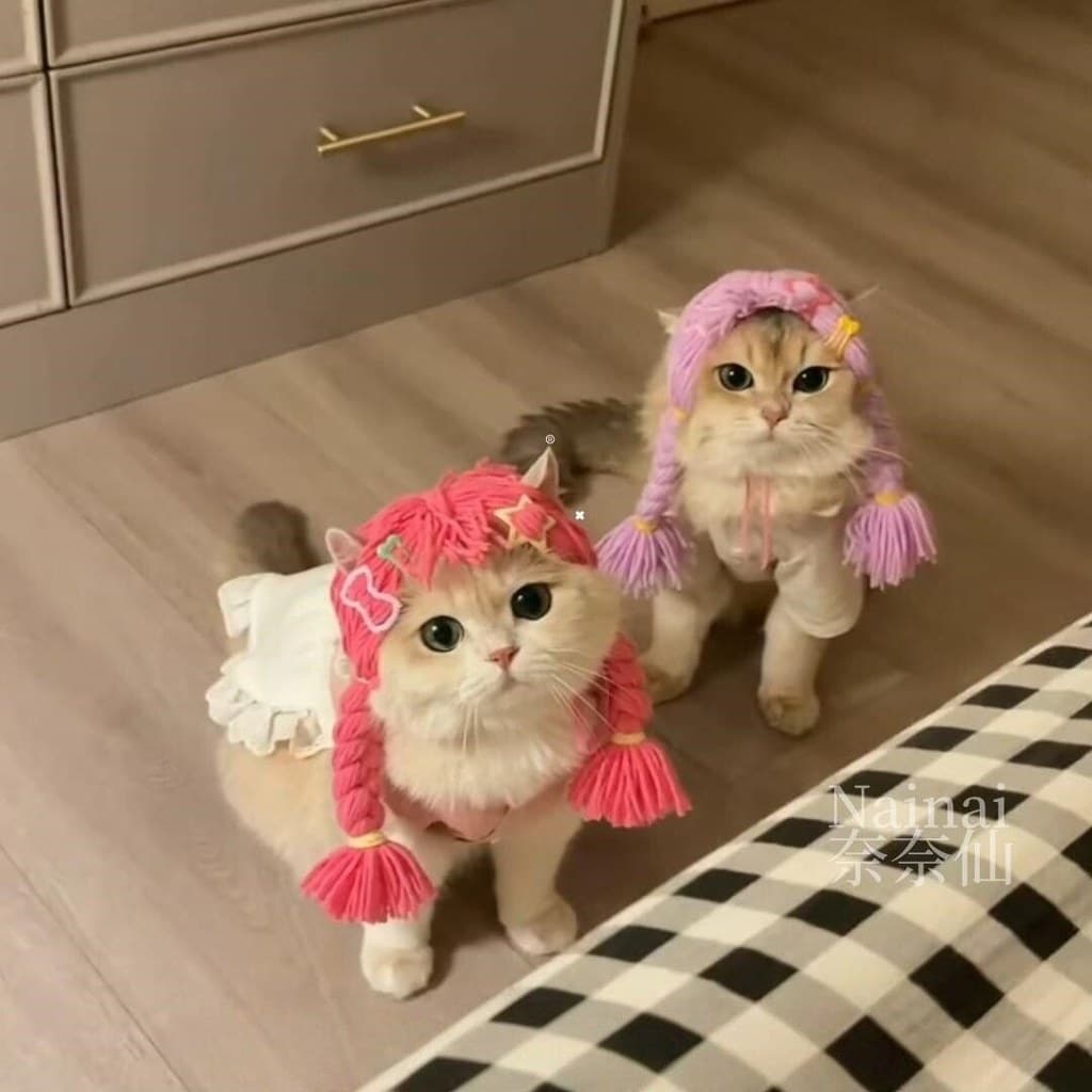 Dopamina gato torção trança peruca produto acabado engraçado lã Pet Headdress COS foto