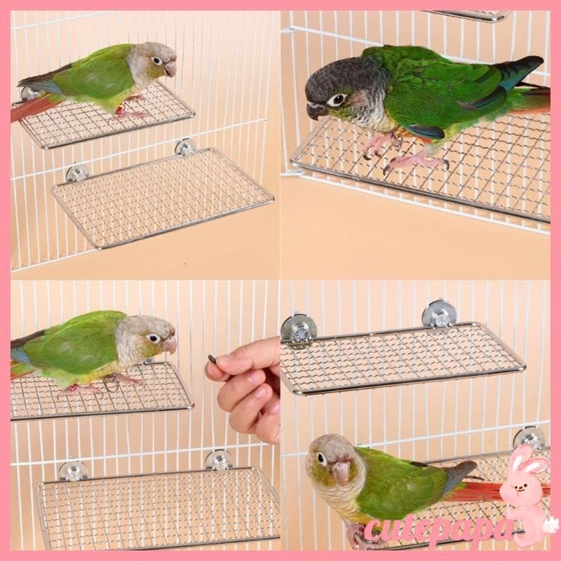 cutepa Aço Inoxidável Pássaro Poleiro Plataforma Papagaios Suporte Descanso Para Acessórios Gaiola