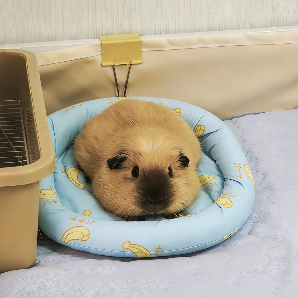 Almofada de gelo para Hamster, almofada redonda para resfriamento de verão, dissipação de calor, almofada para dormir, u
