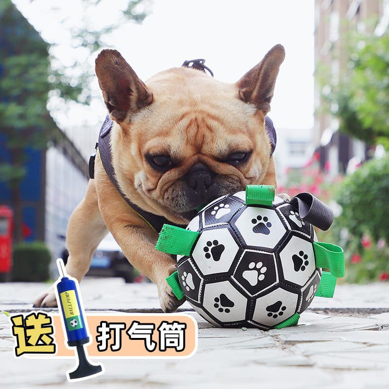 Brinquedo mágico para cães de estimação, bola de brinquedo de futebol para aliviar o tédio, ferramenta útil para treinam