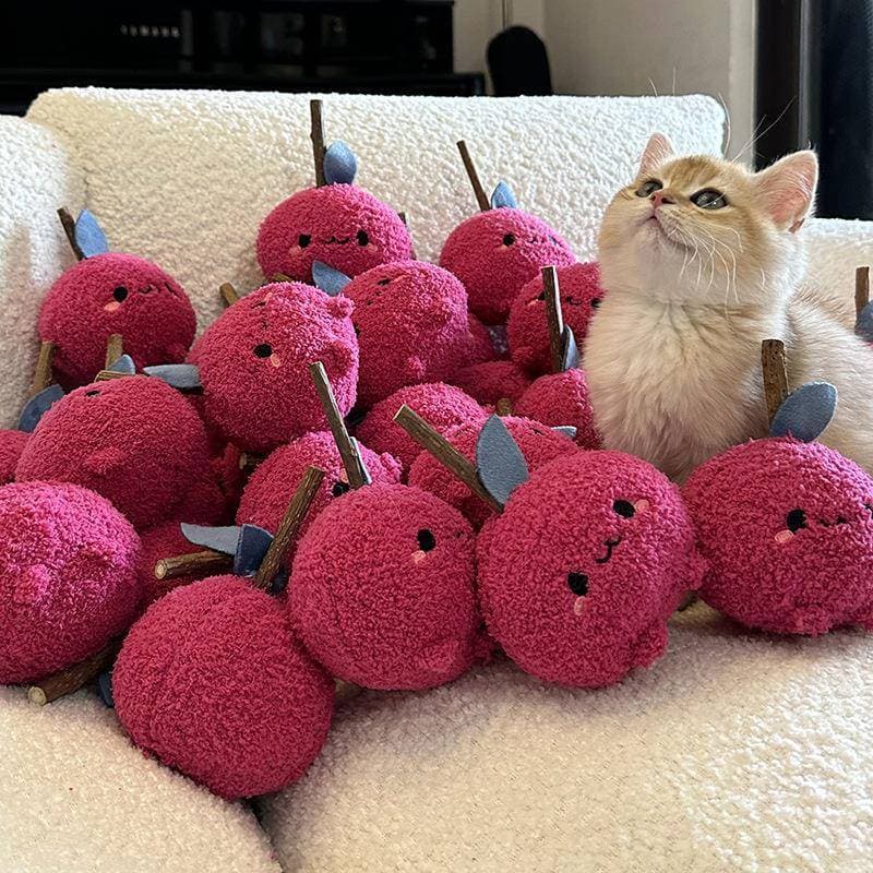 TOOCAT bonito engraçado gato mastigando Molar vara brinquedo do gato Mutiana gato auto-feliz ferramenta útil provocando