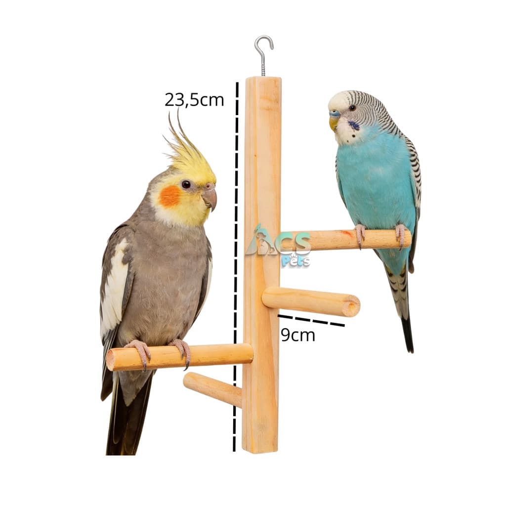 Brinquedo Poleiro vertical Para Pássaros Calopsita Canário Periquito