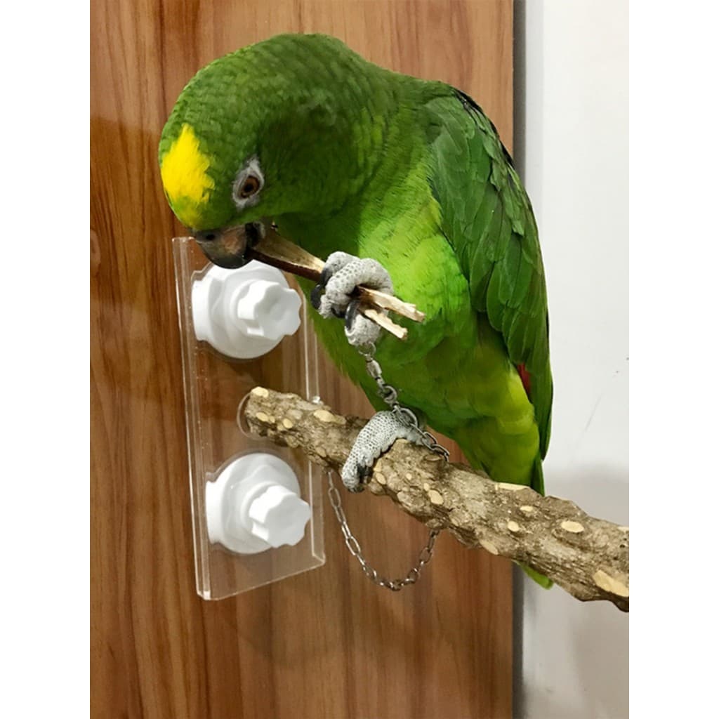 Banho de papagaio de tamanho médio para uso de pássaros, suporte de ar para treinamento de passeio, pimenta Sichuan, mad
