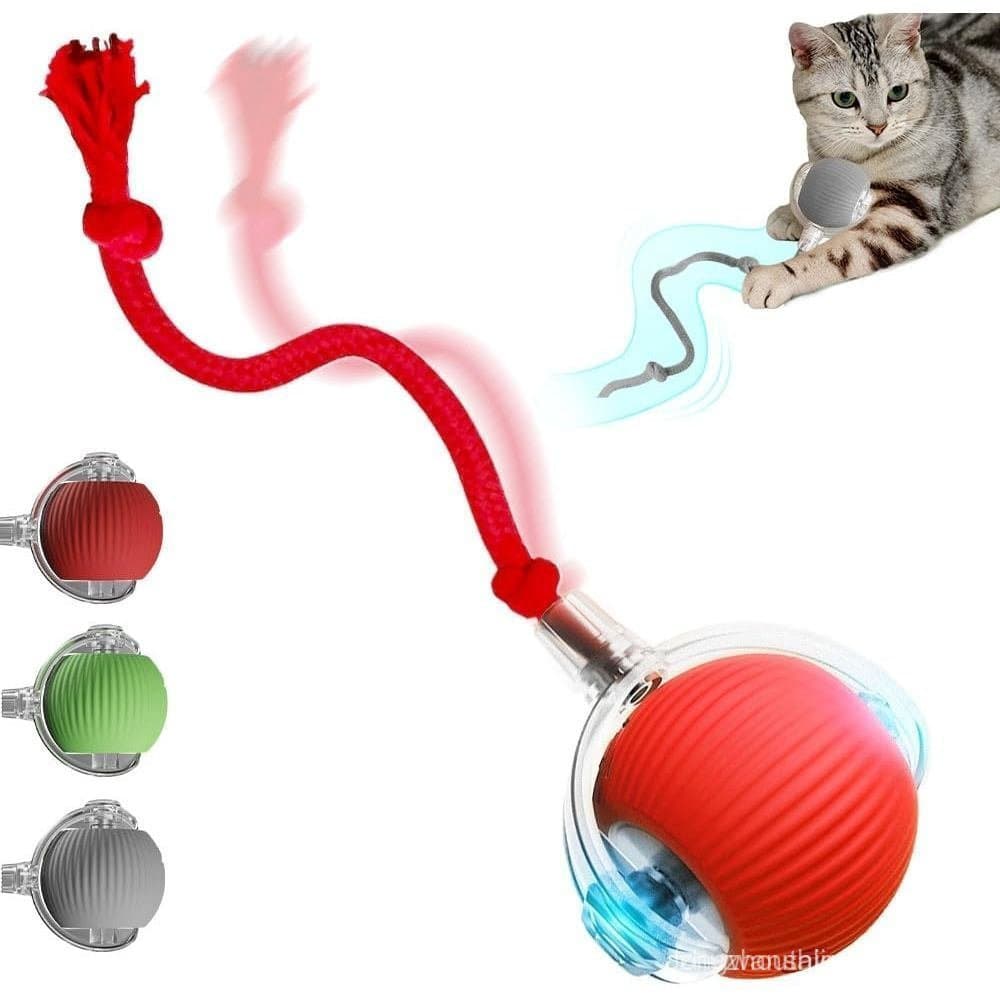 2026 Novo Brinquedo Interativo para Gatos de Interior, Brinquedo para Gatos de Interior para Aliviar o Tédio dos Filhote