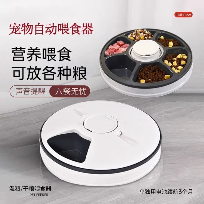Alimentador automático para animais de estimação, cronometragem de seis grades, comida quantitativa para gatos, comida p