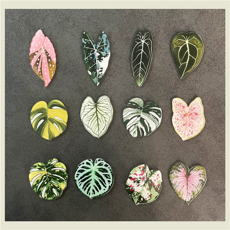 20/10/5 Pçs Folhas Tartaruga Volta Bambu Decoração Geladeira Adesivo Fita Magnética Planta tropical Sucção Nota Presente