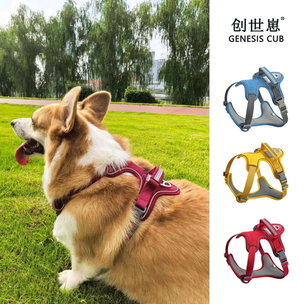 QZee Genesis filhote Pet colete estilo ajustável cinta de peito à prova de explosão filhote de cachorro andando trela do