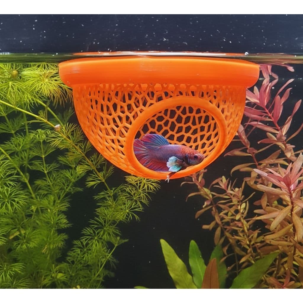 10 CAMA PEIXE BETA FLUTUANTE ATACADO LOJISTAS