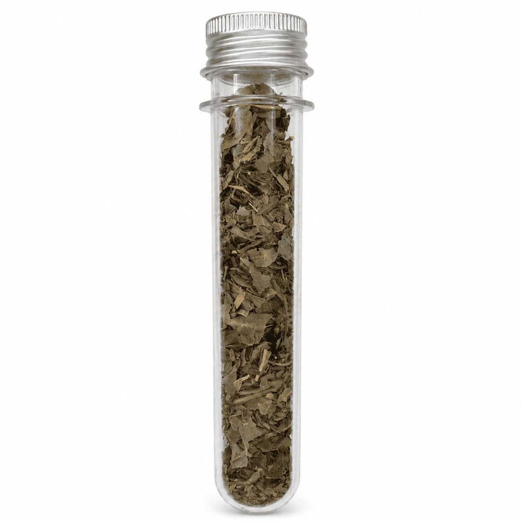 Catnip Tubo Grande 10g Erva Natural Para Gatos Premium Relaxante Brincar interativo