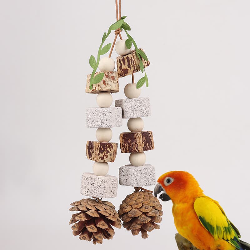 Pedra de moagem nozes pinhas cones selvagens ossos de choco mastigando papagaio brinquedo cordas peônia pele de tigre Xu