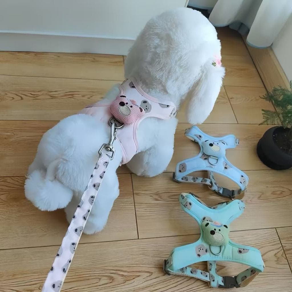 Coleira peitoral Colorida Desenho Ursinho Com Guia Para Cães cachorro e gatos e outros pets YP-2430