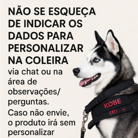 Coleira com nome pra cachorro vai guia confortável costurado forte ideal para passear e adestrar