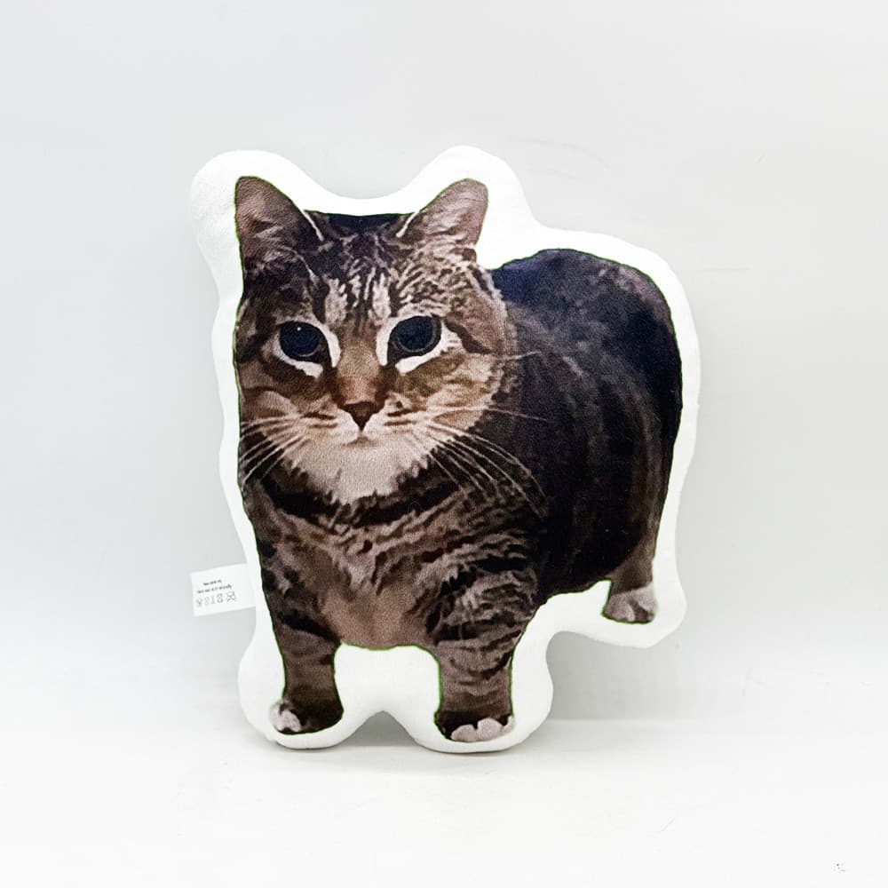 Novo e moderno brinquedo de pelúcia em forma de gato engraçado, famoso na internet.
