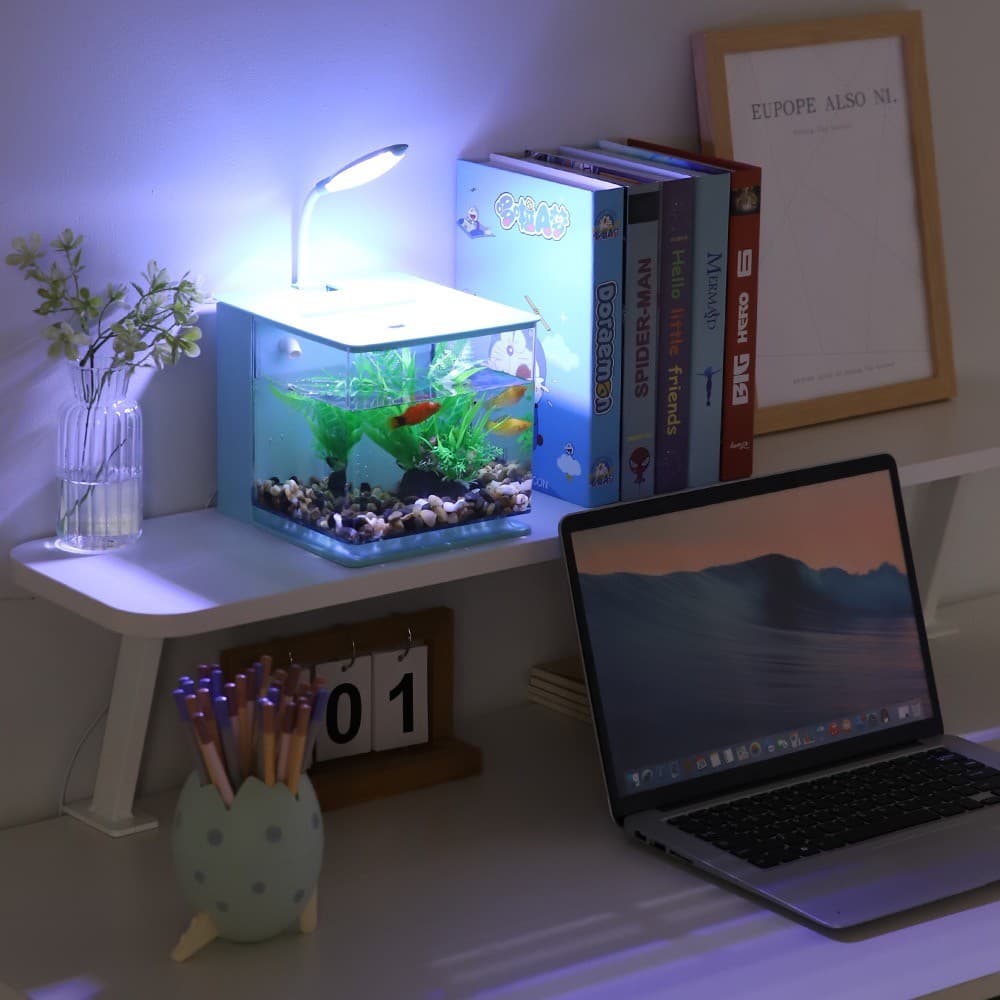 Mini Aquário Completo 2L C/ Led Bomba Submersa Filtro Bivolt 2 Cores