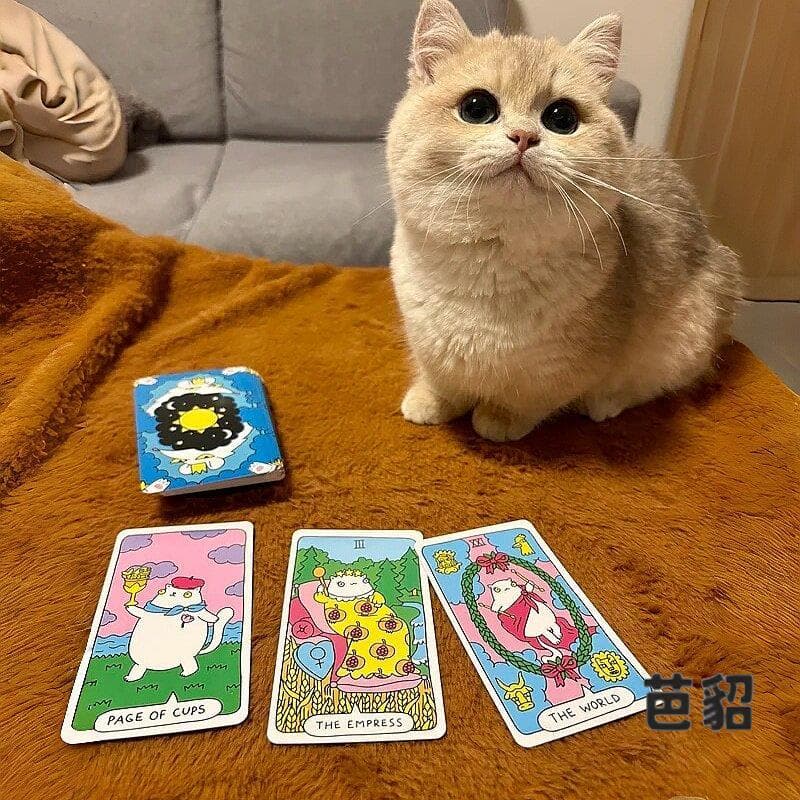 Gato tarô brinquedos para animais de estimação gato garra Solitaire gato suprimentos proprietário adereços interativos j