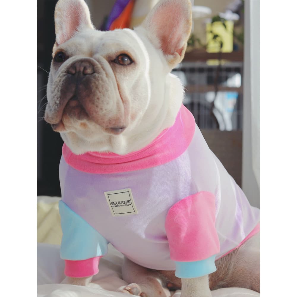 Dopamina cor combinando roupas para cães roupas de luta francesa para animais de estimação roupas para cães gordo