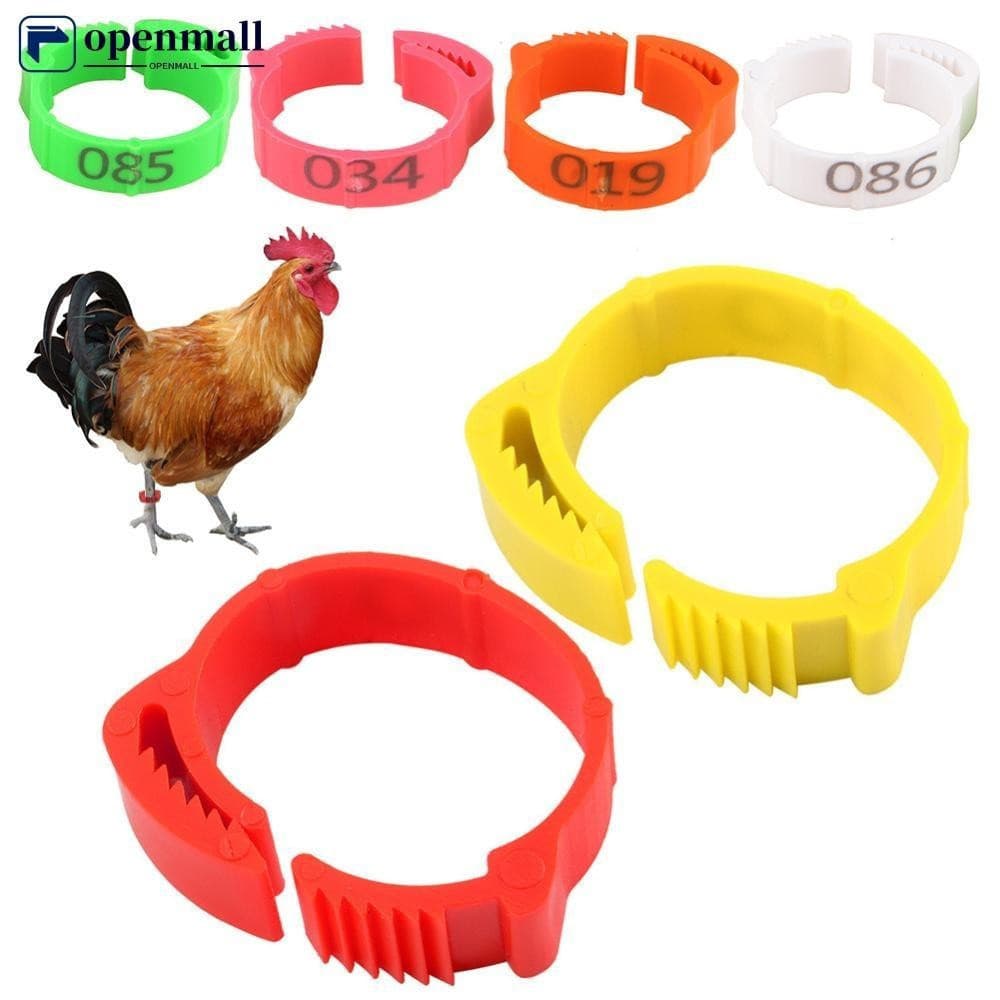 openmall 100PCS Marcador De Anel De Pés De Frango Tamanho Ajustável 1-100 Número Fivela De Perna De Aves Para Suplemento