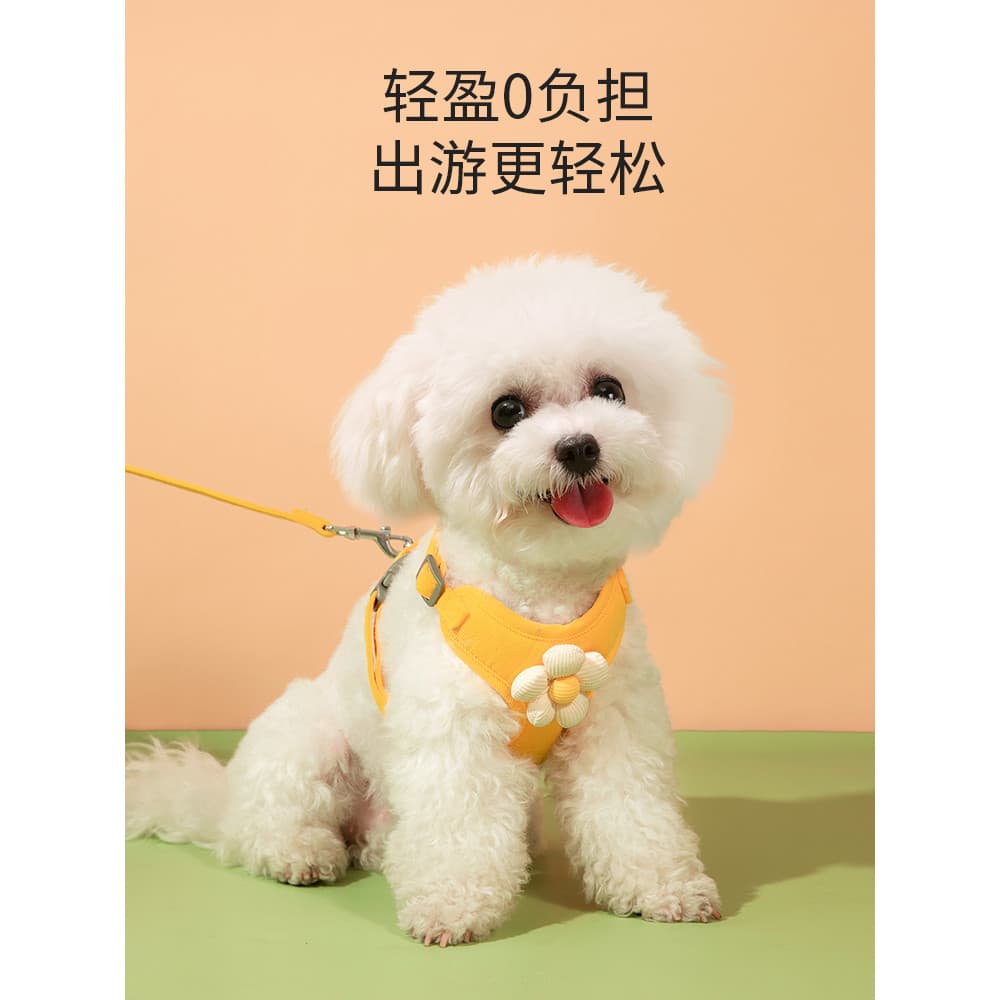 Coleira para cachorro tipo colete, cachorro pequeno, Bichon, teddy, cinta peitoral, filhote de cachorro, trela para cami