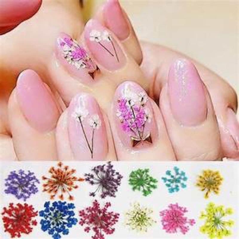 Flores Secas Encapsulamento Decoração Unhas De Gel