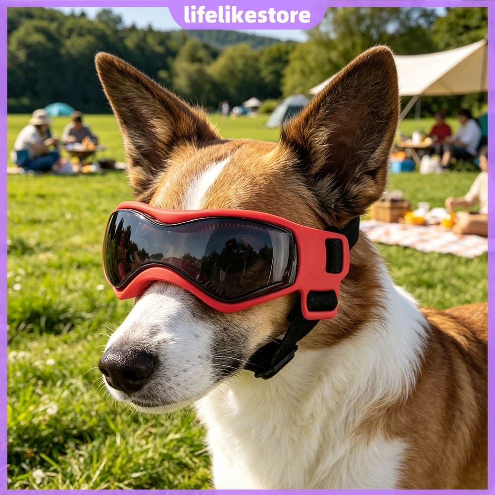 Óculos Para Cães Com Proteção UV Alças Ajustáveis Motocicleta , Direção , Bicicleta , Caminhada , Natação [lifelikestore