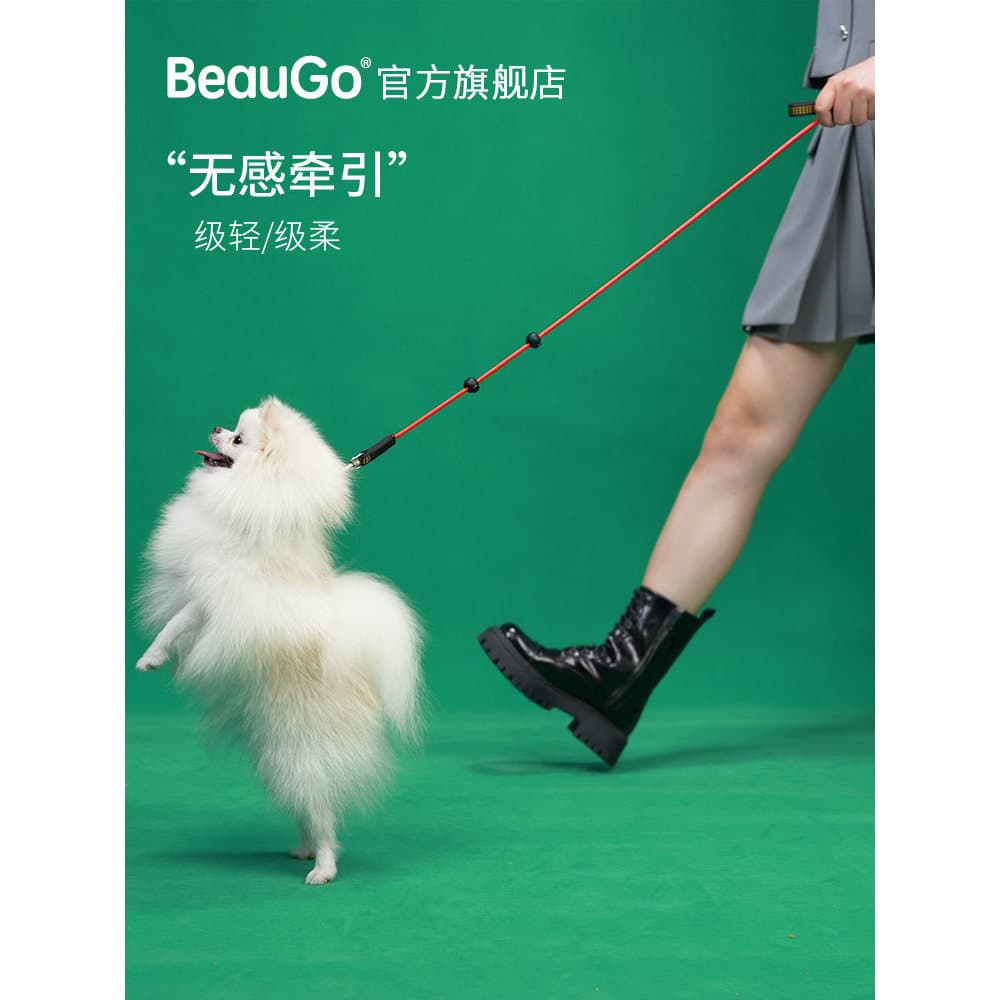 QZee BeauGo BeauGo Coleira fina para animais de estimação Coleira de Nylon para cães pequenos e médios Cães Gatos Cães C