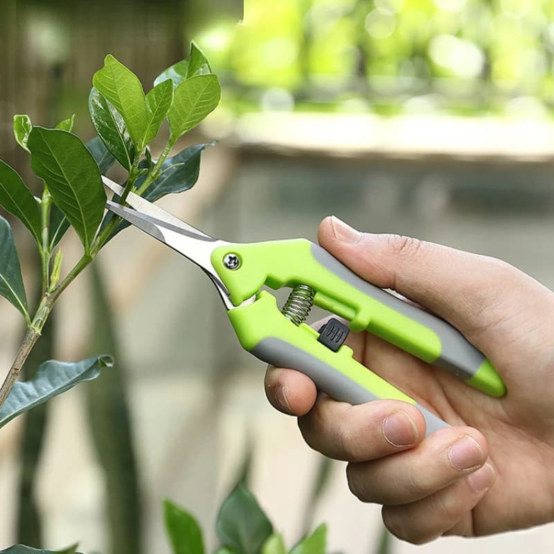 Ferramentas de Jardinagem, Tesouras de Poda, Tesouras para Bonsai, Tesoura de Jardinagem de Metal, Ferramenta de Poda, C