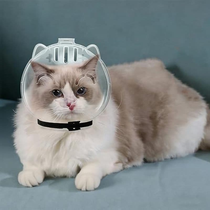 Focinho De Gato Para Cuidar , Capuz Ajustável Gatos , Capacete De Astronauta Focinhos Anti-Mordida Respiráveis Barbear D