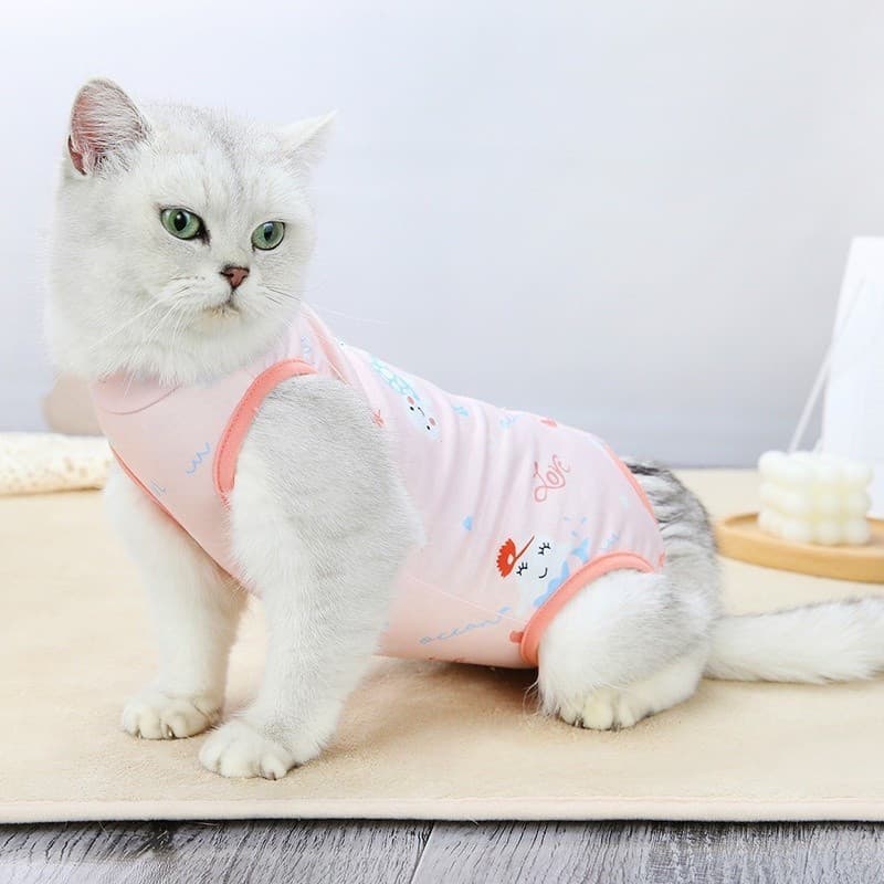 Roupa Cirúrgica para Castração de Gatas, Roupa de Desmame, Estilo Fino e Macio, Anti-lambida, Quente U5SS Z9AG