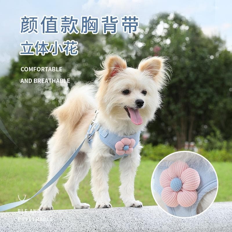 Coleira japonesa para cachorro, coleira para caminhada, gato, cachorro pequeno, cinta peitoral, para animais de estimaçã