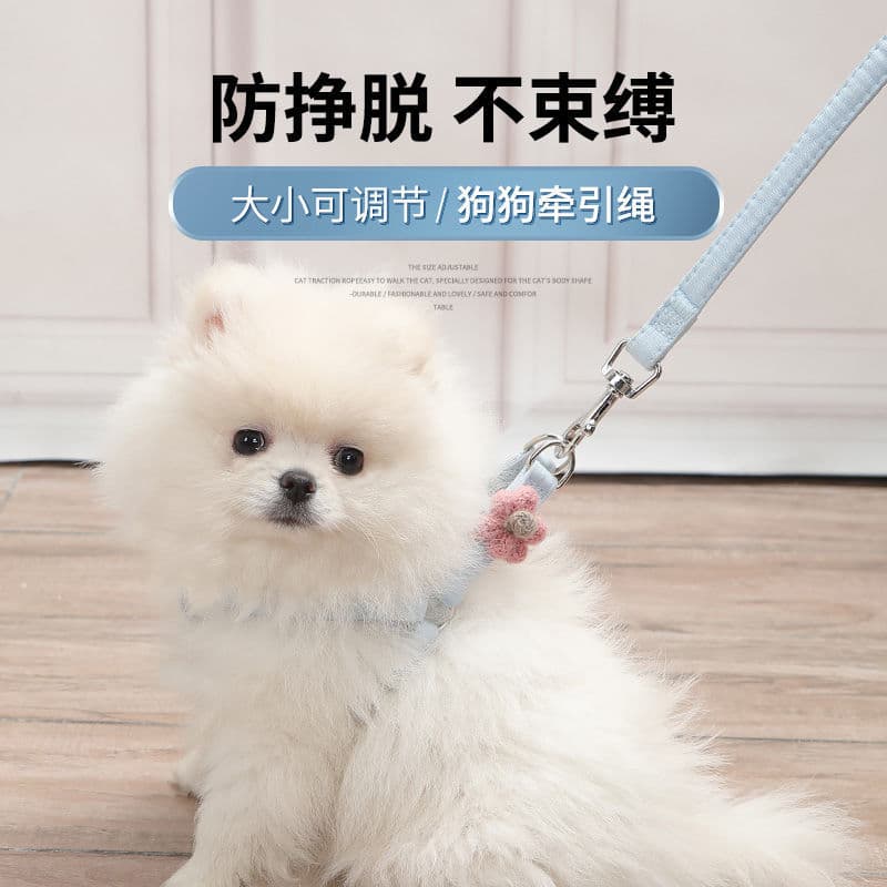 Coleira para cachorro tipo cinta peitoral, coleira para cachorro, coleira para cachorro de pelúcia, Bichon, únic