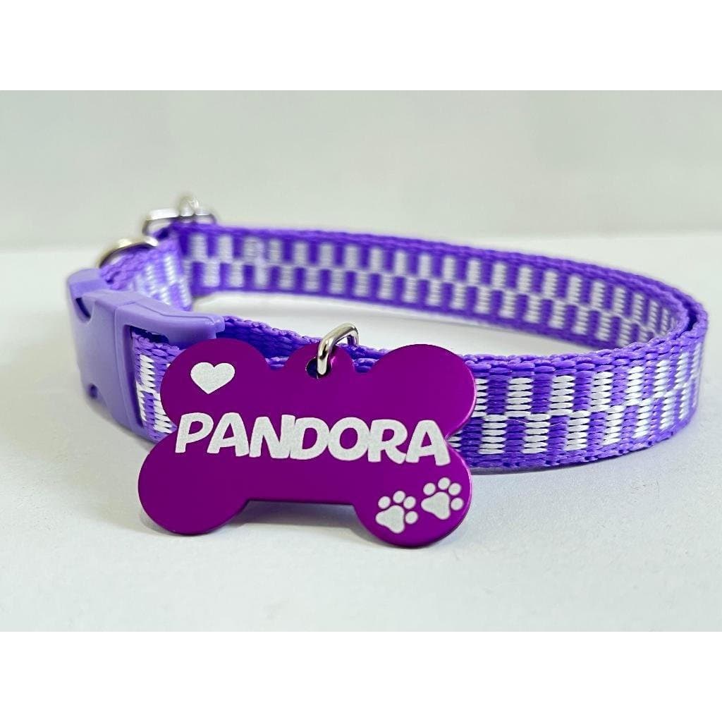 Coleira para cachorro com plaquinha de identificação