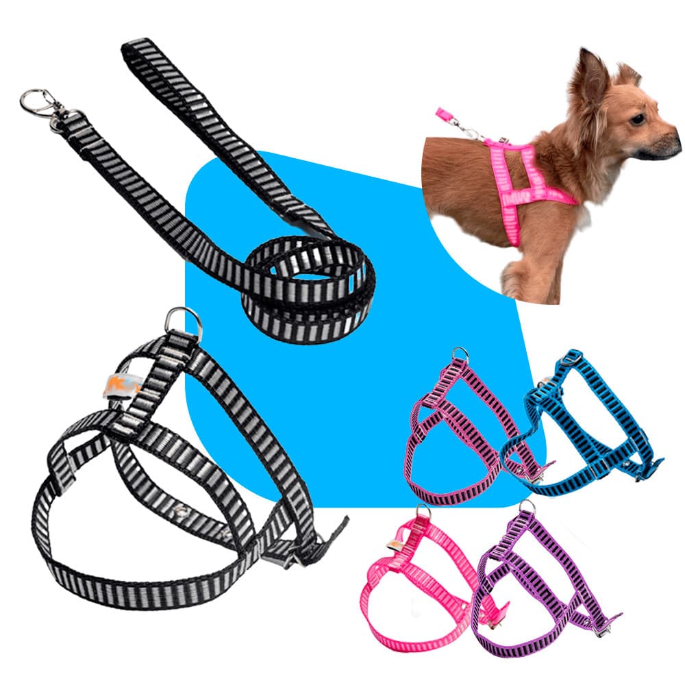 Guia e Peitoral Decorado Nº 1 para Cachorro Pequeno - Nylon e Aço - 100cm | Conforto e Segurança