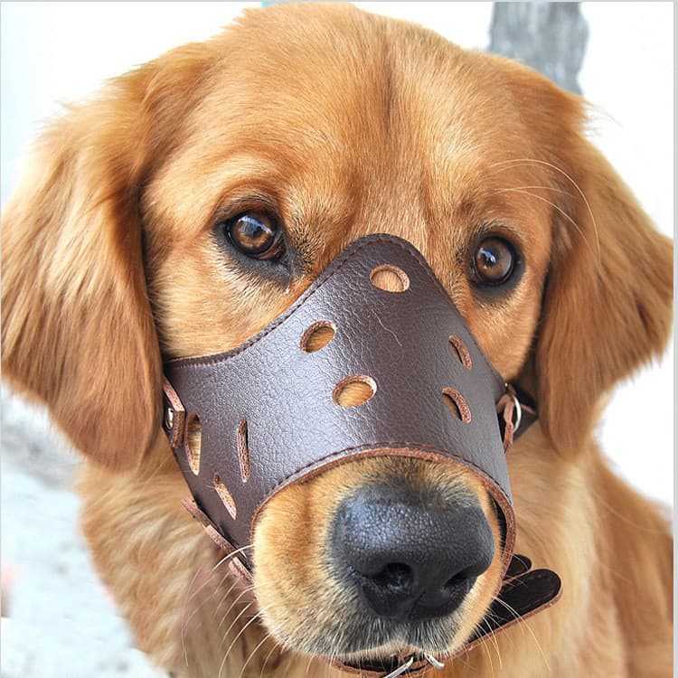 Máscara de cachorro Pippy anti-comer mordida pessoas anti-latido colheita de alimentos confortável respirável capa de bo