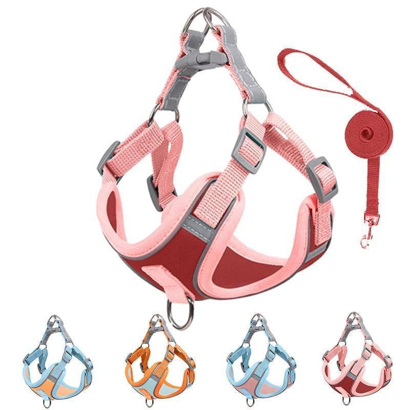 Arnês Ajustável para Cães Pequenos e Gatos, Arnês Refletivo para Cães e Conjunto de Coleira, Arnês Respirável para Anima