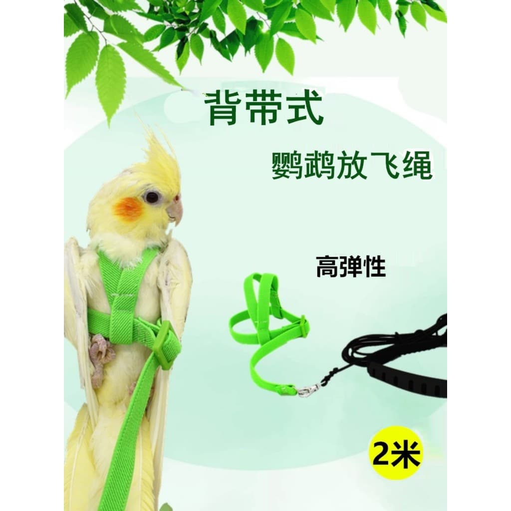 Papagaio voando corda cinta tipo corda voadora corda de tração pele de tigre Xuanfeng pássaro andando corda Outing trein