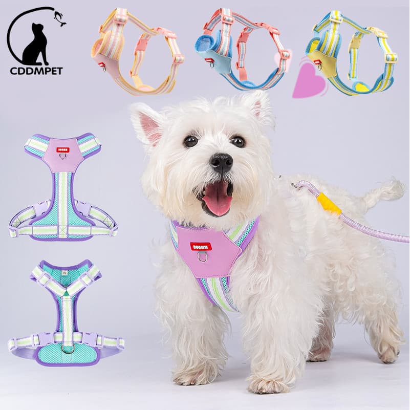 Coleira Peitoral Para Cachorro Colete Animais De Estimação Cães Pequenos E Médios Multicolorido