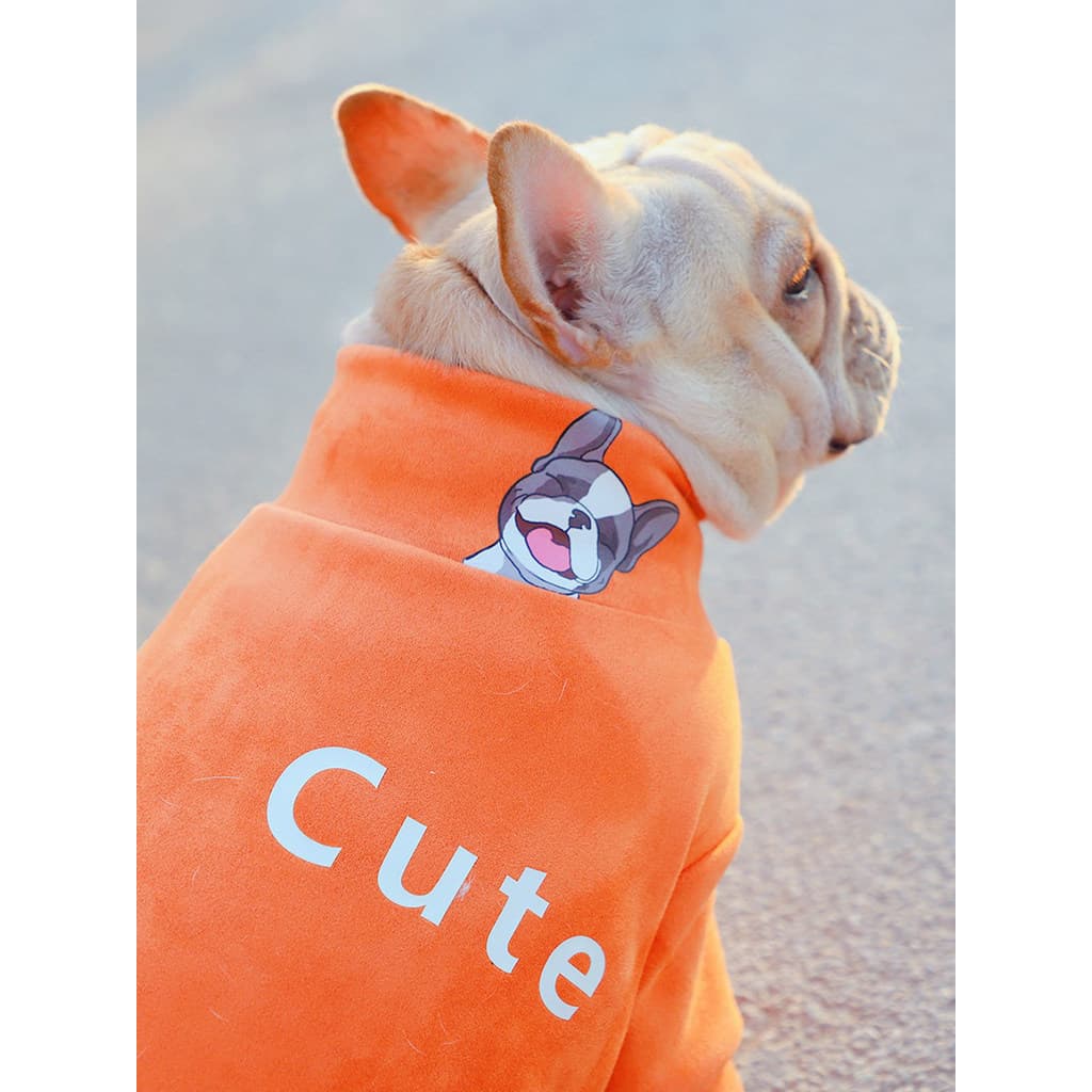 Cão primavera outono gola alta moletom camurça velo outono inverno roupas quentes bonito buldogue francês touro francês