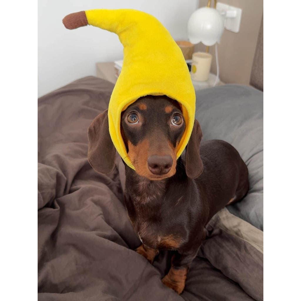 Banana cão chapéu roupas para animais de estimação Headwear criativo peru cão gato chapelaria Dachshund Teddy cães peque