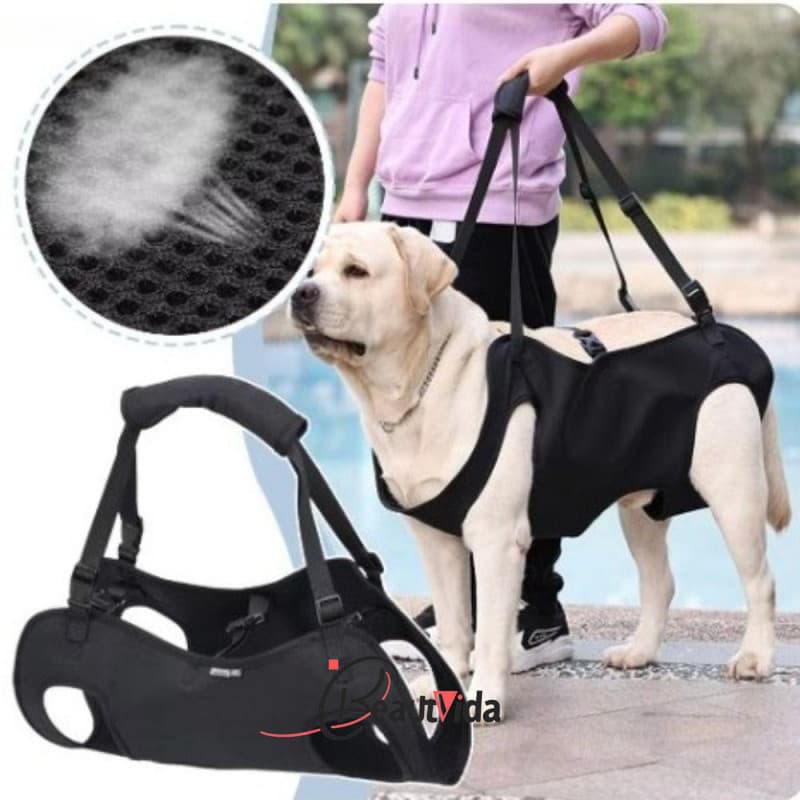 Arnês De Elevação Para Cães ADAMES , Transportador Portátil De Estilingue Com Alça Ajustável , Suporte Pernas , Colete D