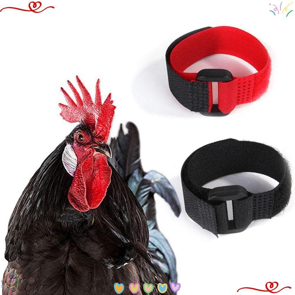 2 Pcs Coleira De Frango Manhã Silenciosa Evita Que Galinhas Corvem Aves Pescoço Sem Ruído Coleiras Com Faixa De
